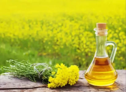 Pure cold-pressed mustard oil in glass bottle – organic and unrefined