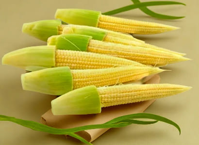 Organic Baby Corn by Bharat Krishi